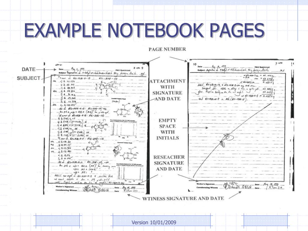 research lab notebook example