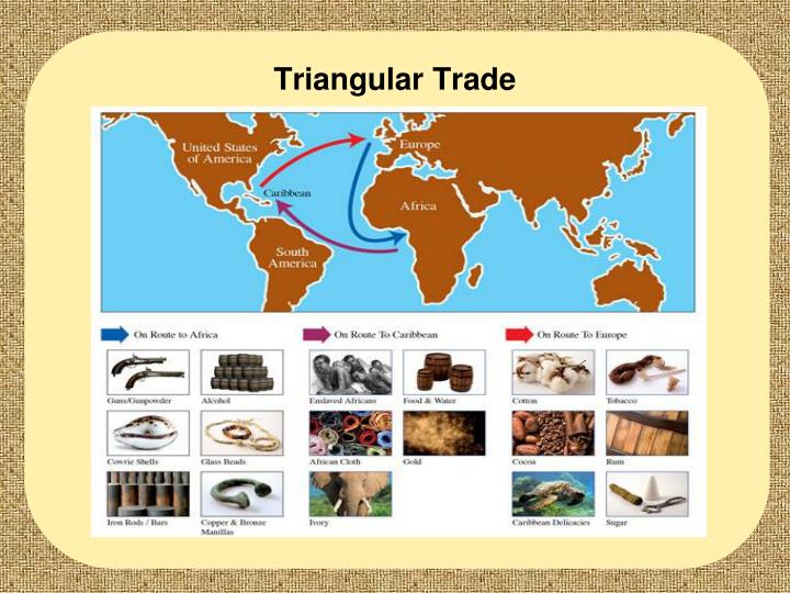 the triangular trade route The triangular trade the routes involved were historically also shaped by the winds and currents during the age of sailing ships the best-known triangular . the triangular trade route The triangular trade the routes involved were historically also shaped by the winds and currents during the age of sailing ships the best-known triangular .