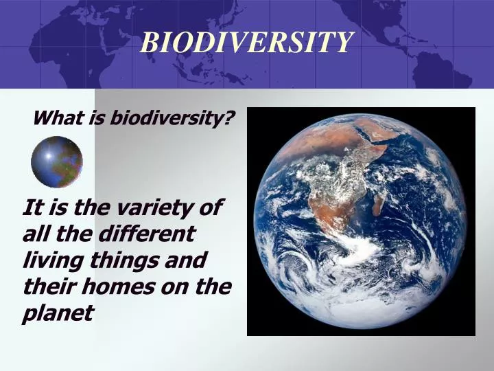 biodiversity n.