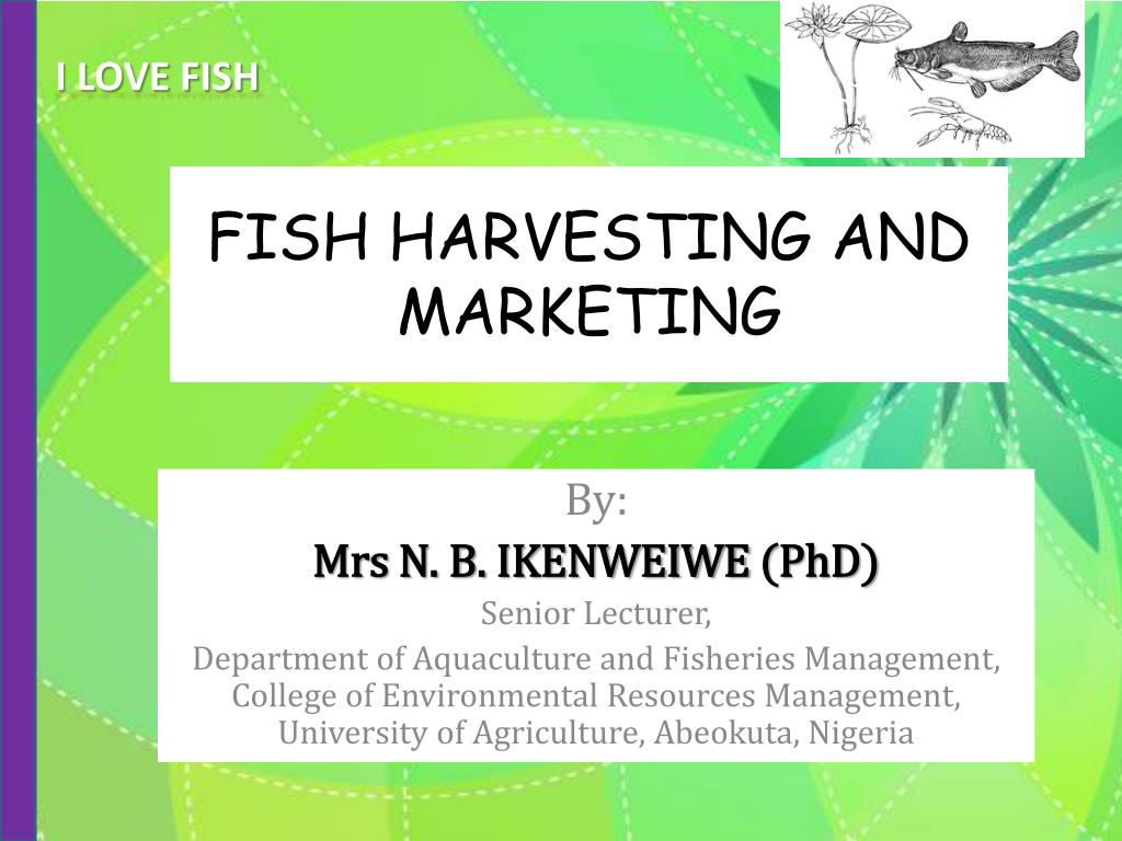 PPT - FISH HARVESTING AND MARKETING PowerPoint Presentation, free