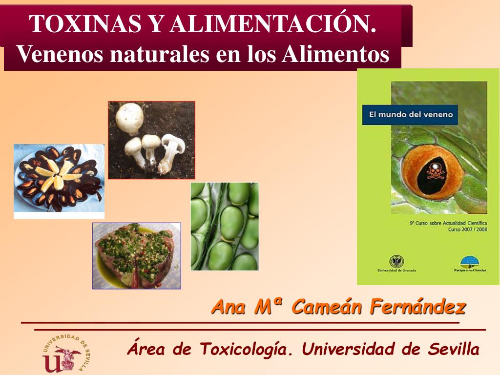 Reina Goma burlarse de PPT - Área de Toxicología. Universidad de Sevilla PowerPoint Presentation -  ID:1051257