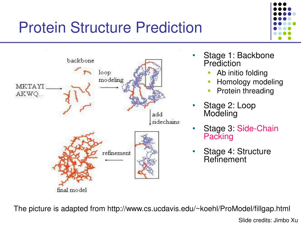 PPT Protein Structural Prediction PowerPoint Presentation Free PPT Protein Structural Prediction PowerPoint Presentation Free