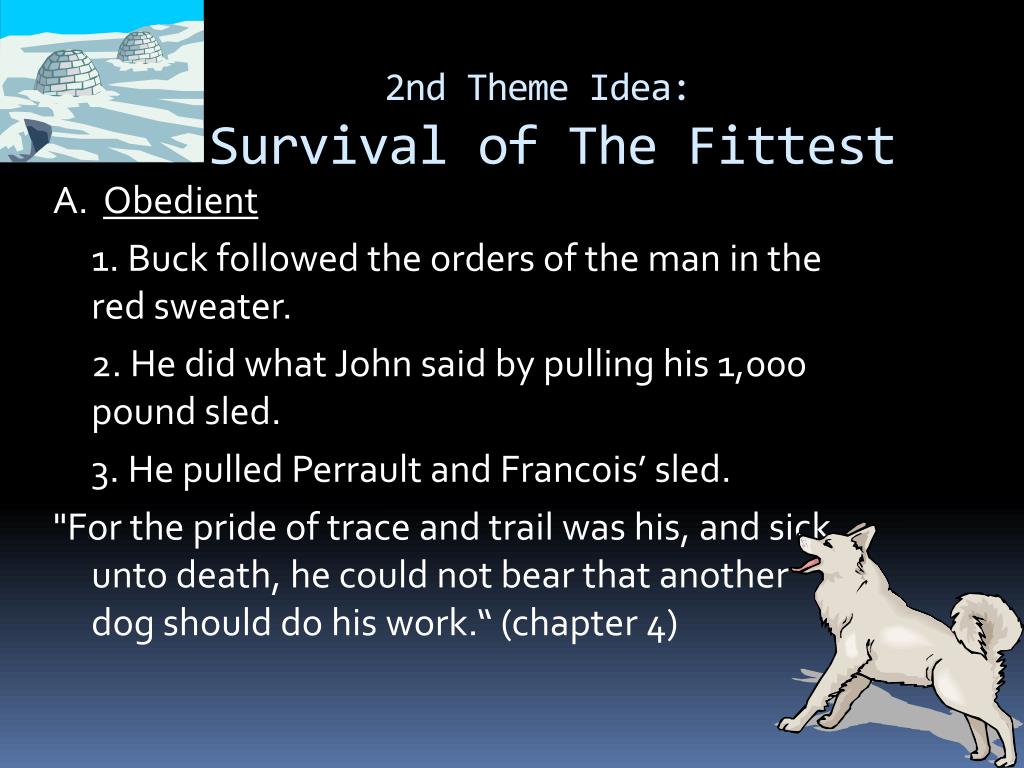 PPT Quotes and Themes Call of The Wild By Jack London