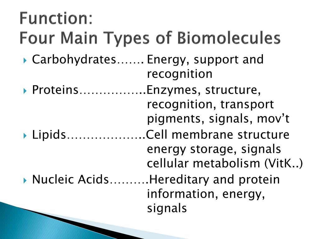 PPT Biomolecules PowerPoint Presentation, free download ID1055408