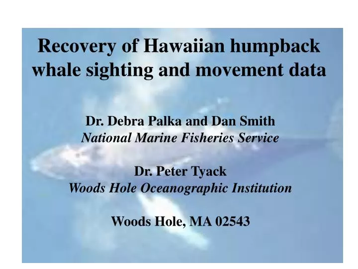 recovery of hawaiian humpback whale sighting and movement data n.