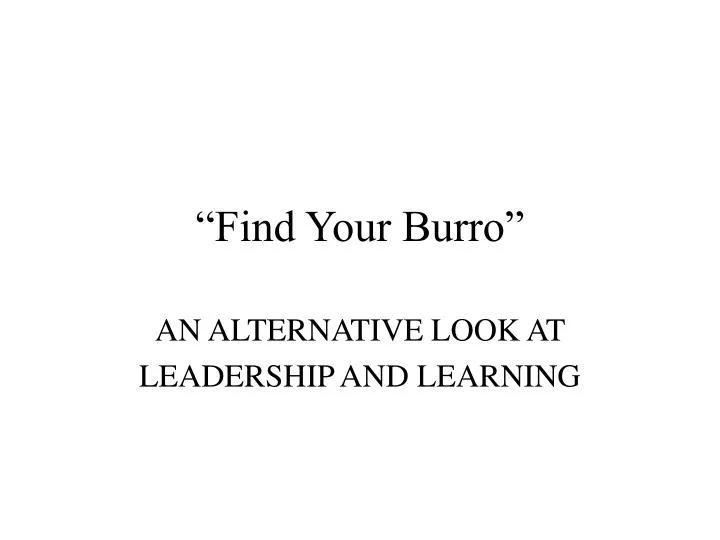 find your burro n.