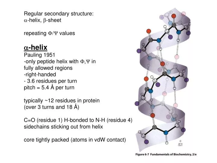 alpha helix and beta sheet ppt