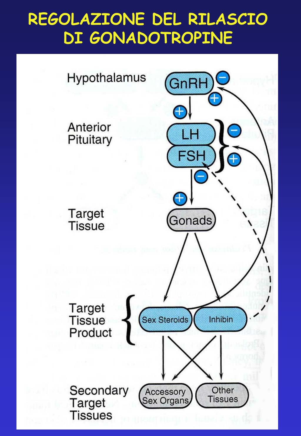 Come far risaltare il tuo prodotto con halotestin cycle dosage Cosa potrebbe fare la halotestin cycle dosage per farti cambiare?