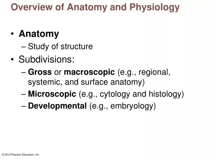 overview of anatomy and physiology n.
