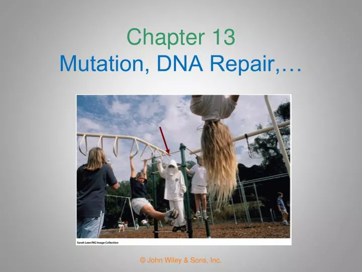 chapter 13 mutation dna repair n.