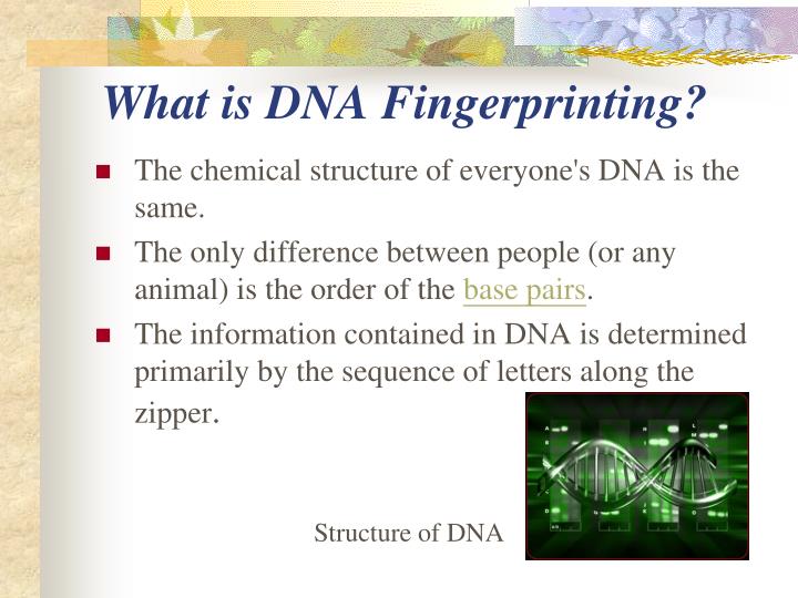 a study of dna fingerprinting The fake medicine – a bit like matching dna the example shown here is a reading of a case study forensic fingerprinting author: alistair mcdowall. a study of dna fingerprinting The fake medicine – a bit like matching dna the example shown here is a reading of a case study forensic fingerprinting author: alistair mcdowall.
