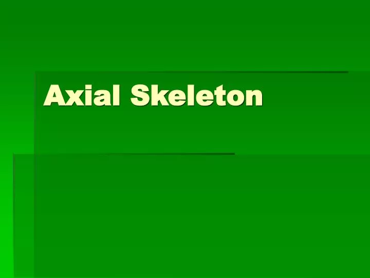 axial skeleton n.