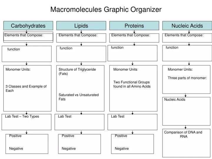 Organic Macromolecules Chart