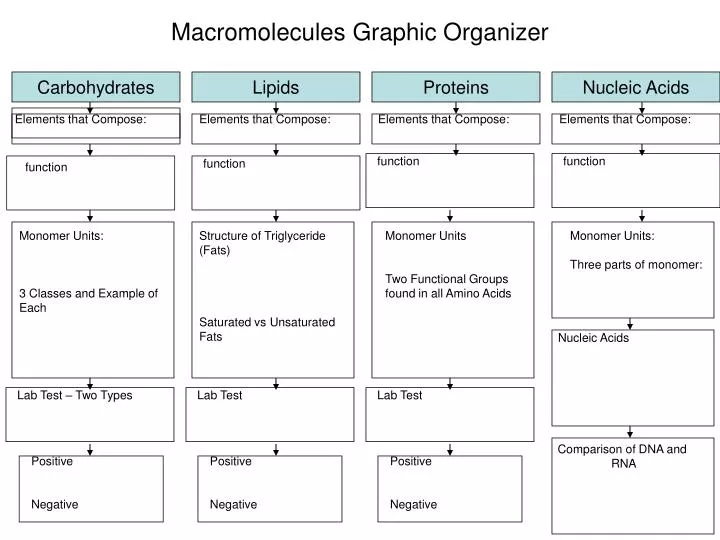 4 Macromolecules Chart