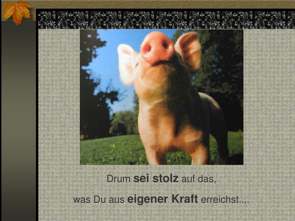 Wie Gebe Ich Einen Netten Korb