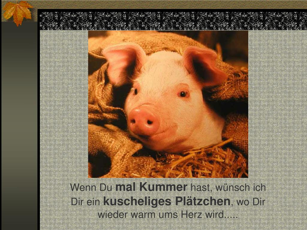 Wie Gebe Ich Einen Netten Korb