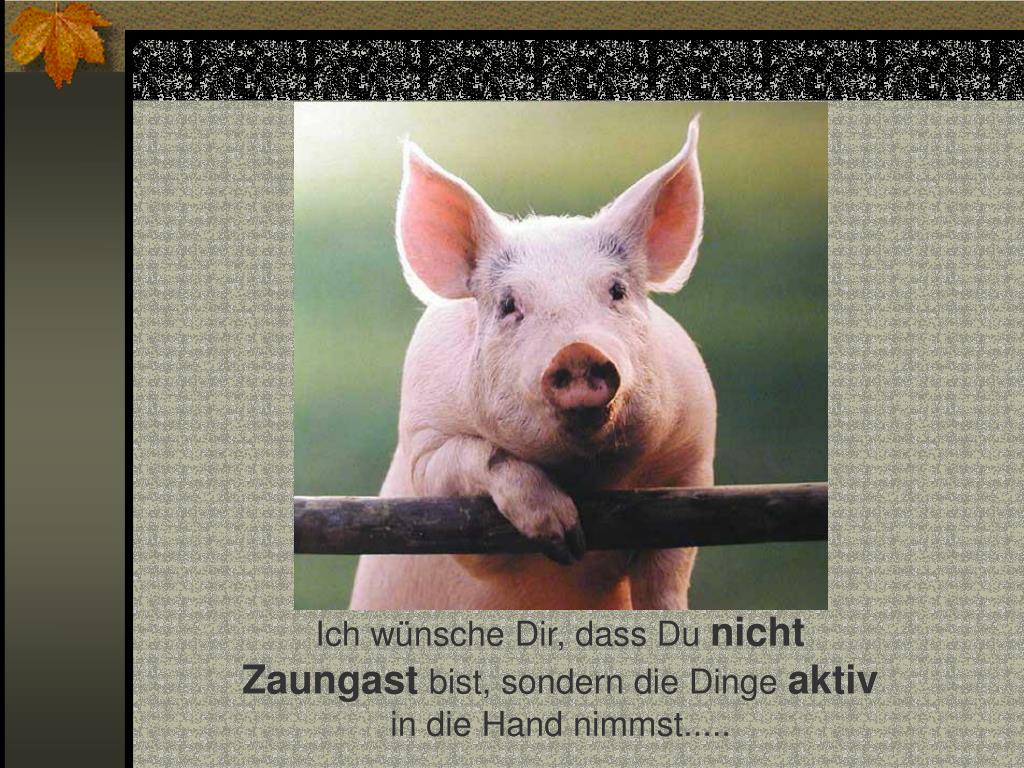 Wie Gebe Ich Einen Netten Korb