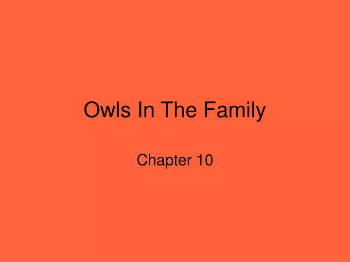 owls in the family n.