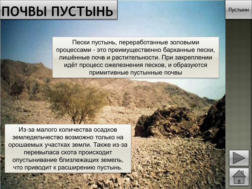 Особенности почв полупустынь. Тип почвы пустыни в России. Почвы в пустынях. Почвы в пустынях и полупустынях. Почва в пустыне название.