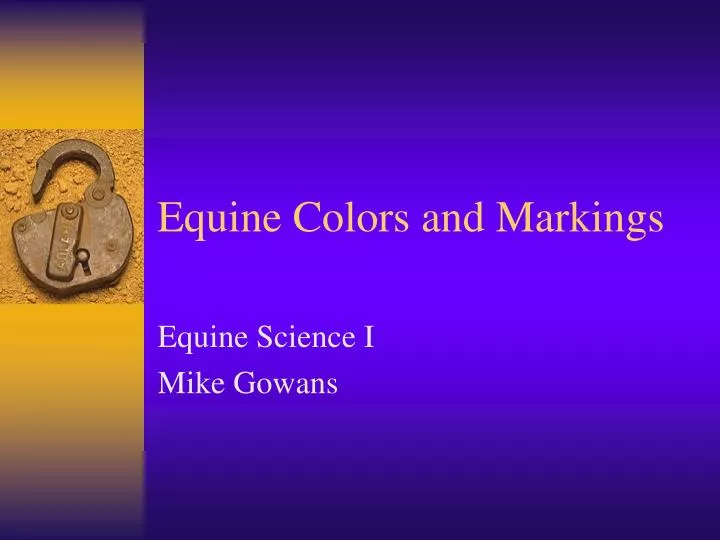 equine colors and markings n.
