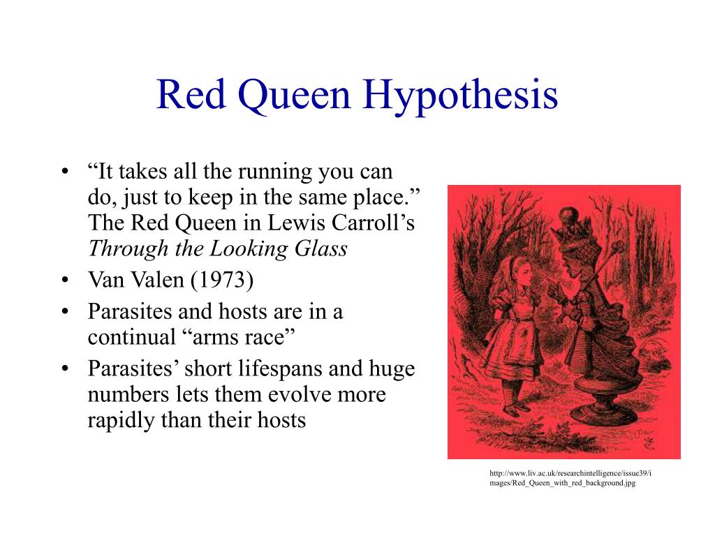 red queen hypothesis quizlet
