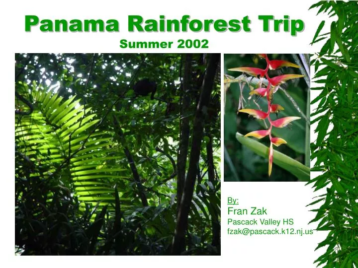 panama rainforest trip summer 2002 n.
