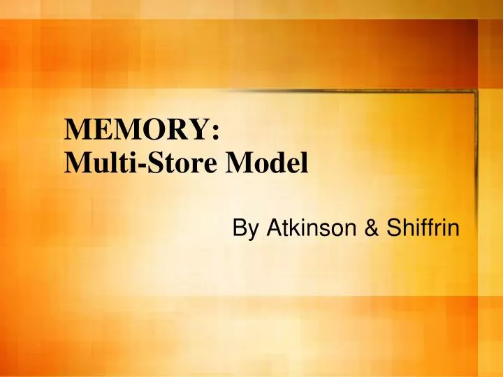 outline and evaluate the multi store outline and evaluate the multi store