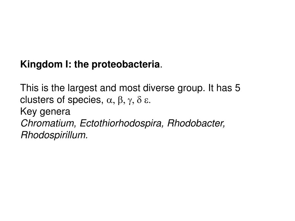 PPT - The Domain Bacteria PowerPoint Presentation, free download - ID