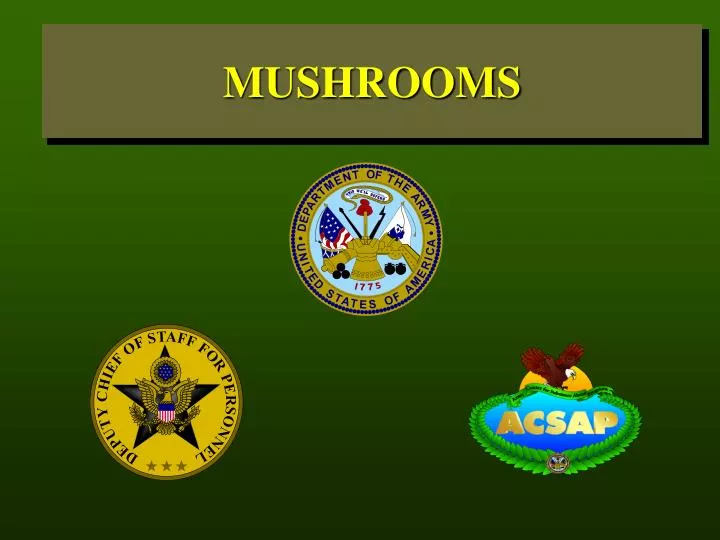 mushrooms n.