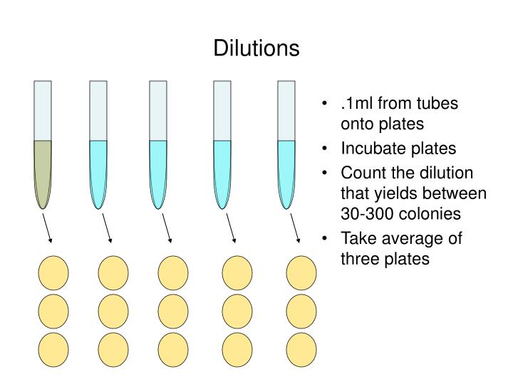 PPT Microbiological Methods PowerPoint Presentation ID1071630