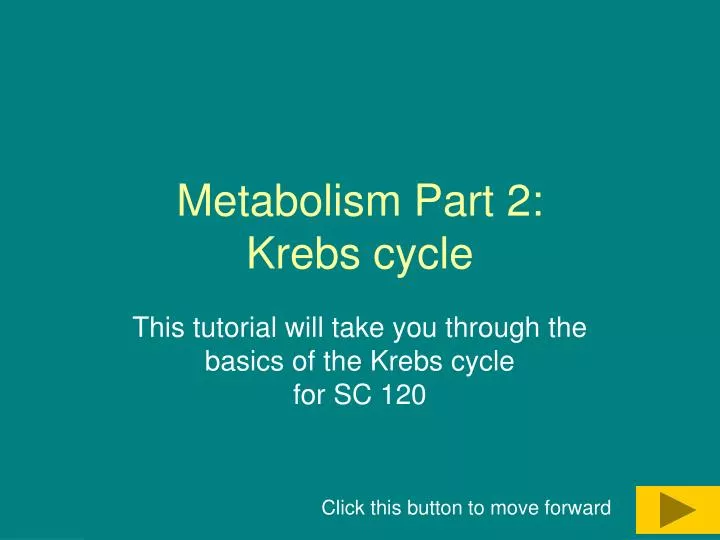 metabolism part 2 krebs cycle n.