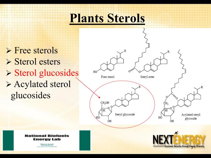 PPT Sterol Glucosides in Biodiesel PowerPoint Presentation ID1074353