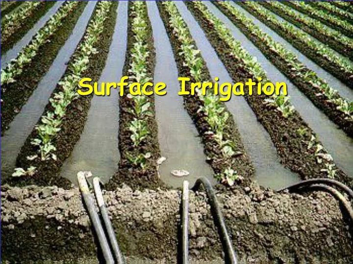 PPT Surface Irrigation PowerPoint Presentation Free Download ID 