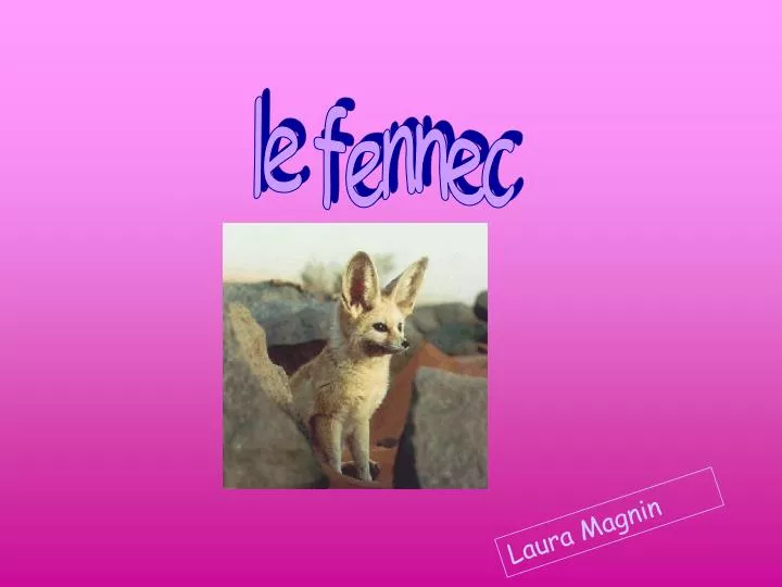 Ppt Le Fennec Powerpoint Presentation Free Download Id Ppt Le Fennec Powerpoint Presentation Free Download Id