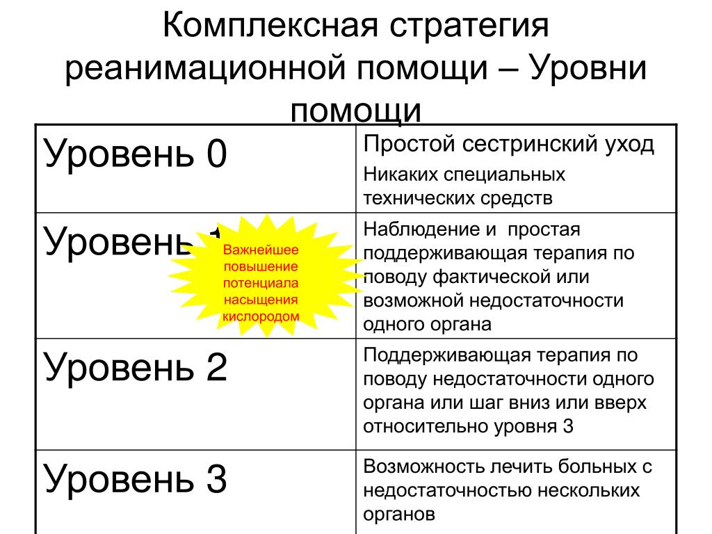 Поддержка 1 уровня