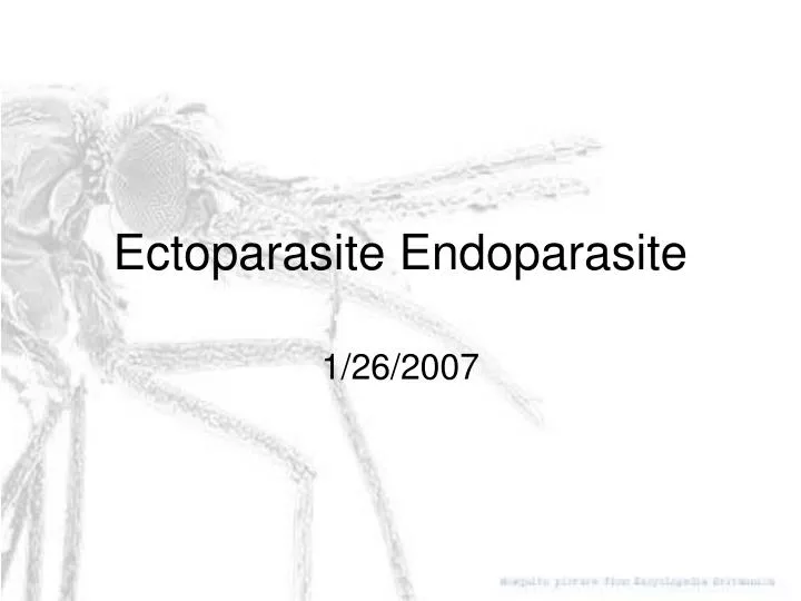 ectoparasite endoparasite n.