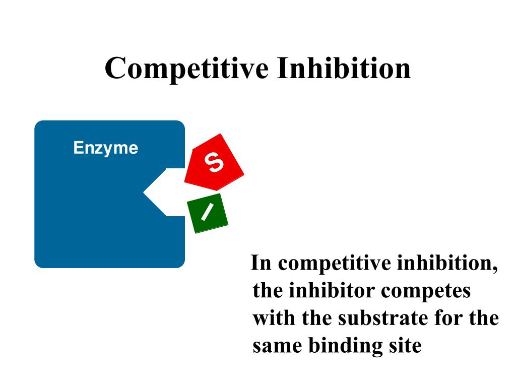 PPT Enzyme Inhibition PowerPoint Presentation, free