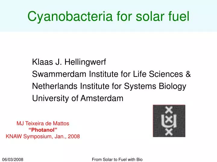cyanobacteria for solar fuel n.
