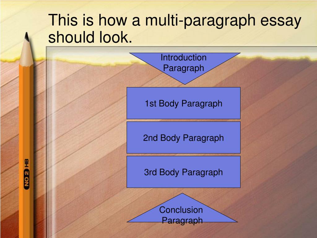 multi paragraph essay meaning