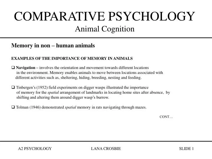 PPT - COMPARATIVE PSYCHOLOGY Animal Cognition PowerPoint Presentation, free  download - ID:1083228