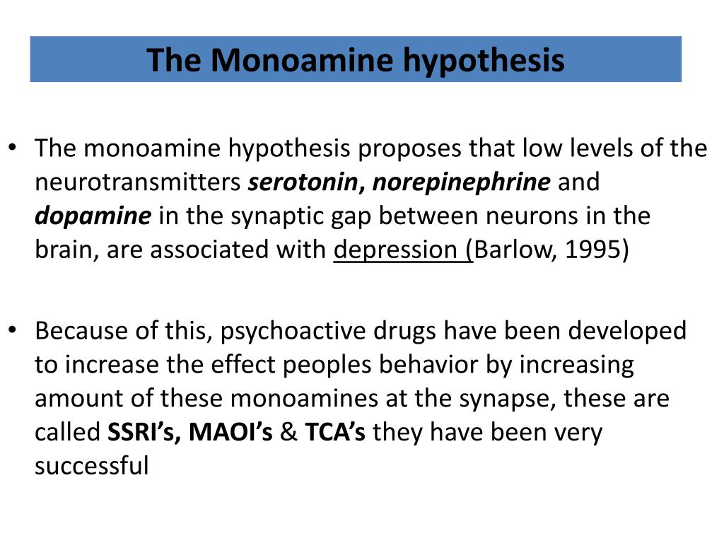 def of monoamine hypothesis
