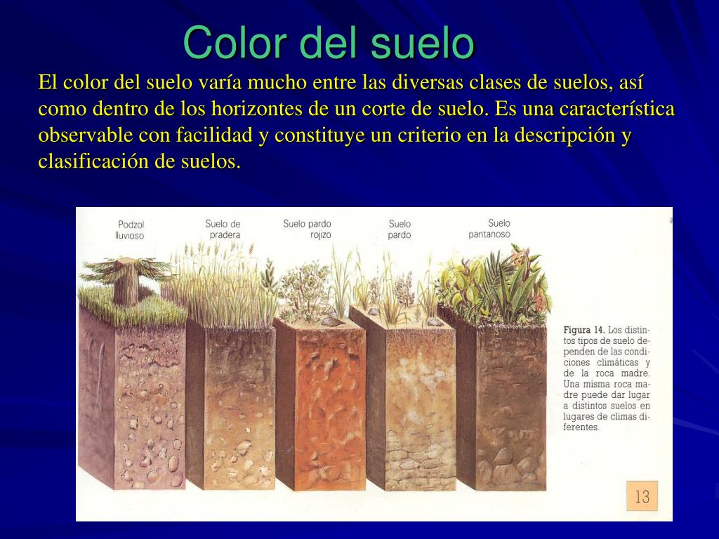 PPT - El color puede ser herencia de su material originario. Es un  resultado de procesos formativos del suelo y se denomina PowerPoint  Presentation - ID:1084796