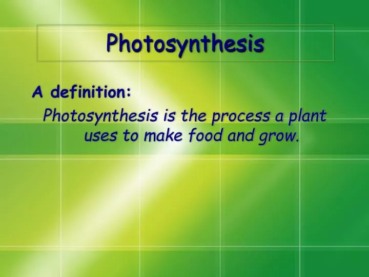 photosynthesis n.