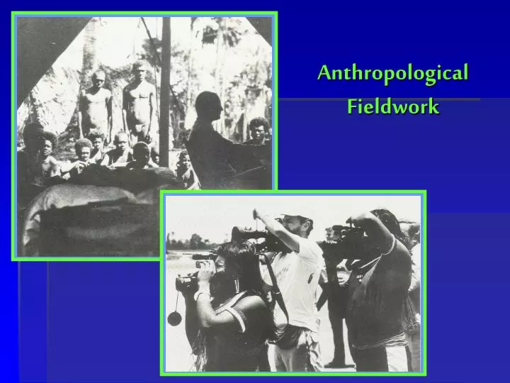 anthropological fieldwork n.