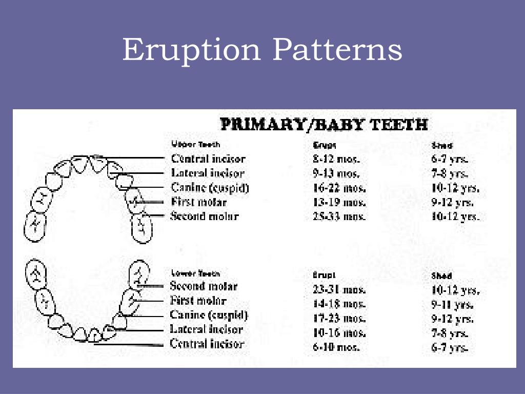 PPT Infant Oral Health PowerPoint Presentation, free download ID