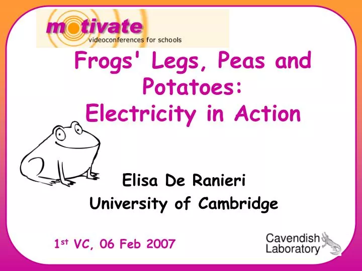 frog leg lab report frog leg lab report