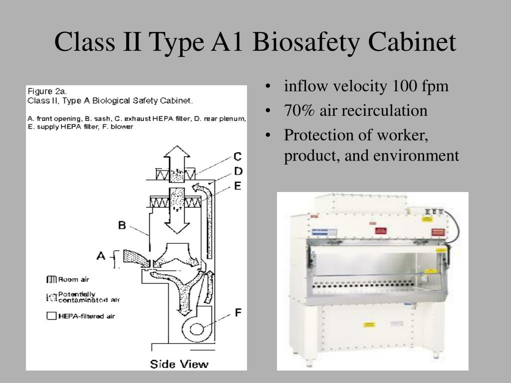 Ppt Controls In Biosafety I Emd545b Lecture 5 Powerpoint