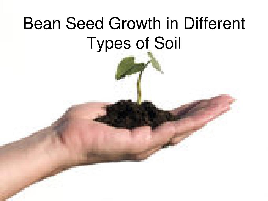 Growing better. Seed growth Kit. Grow better. Hazera Seeds logo. Hazera Seeds hyýar.