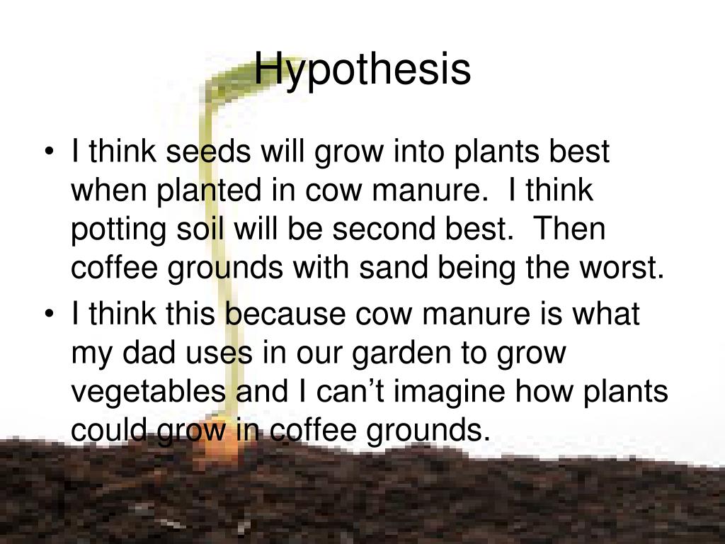 hypothesis plants grow