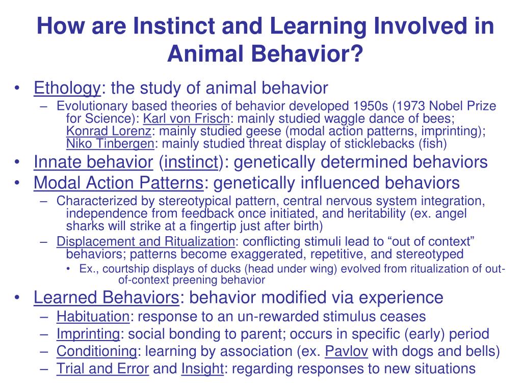 PPT - How are Instinct and Learning Involved in Animal Behavior? PowerPoint  Presentation - ID:1092969